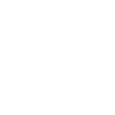 Special Purpose Machines (SPM)